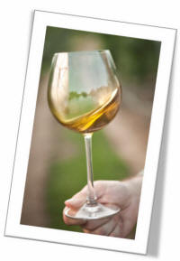 wine glass of fresh pressed olive oil